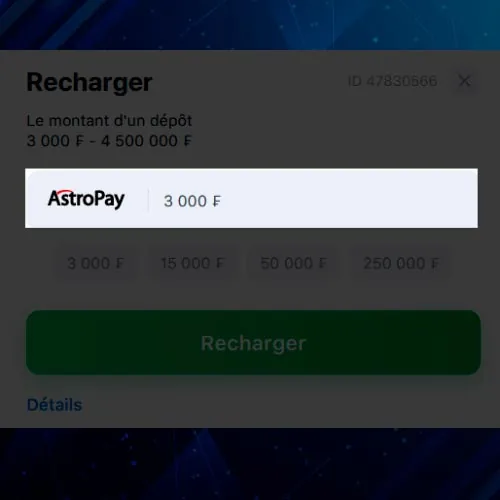 Fournissez les détails nécessaires pour le paiement (informations de carte, identifiants de compte de portefeuille numérique ou coordonnées bancaires) ;